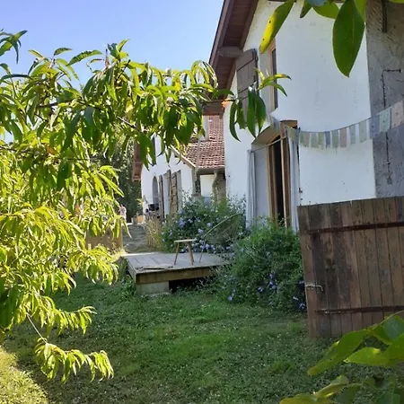 Ohikoa * Saint-Etienne-d'Orthe