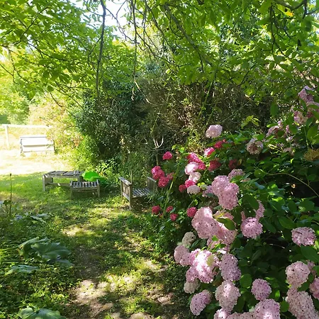 홈스테이 Ohikoa *