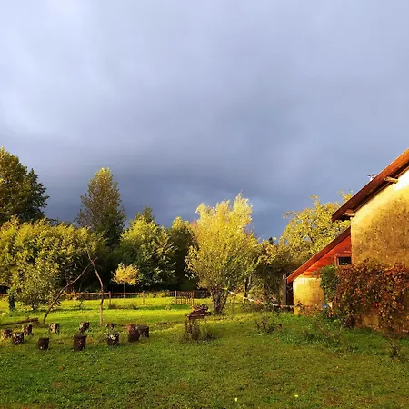 Ohikoa Homestay Saint-Etienne-d'Orthe