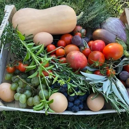 Privatunterkunft Ohikoa Saint-Etienne-d'Orthe