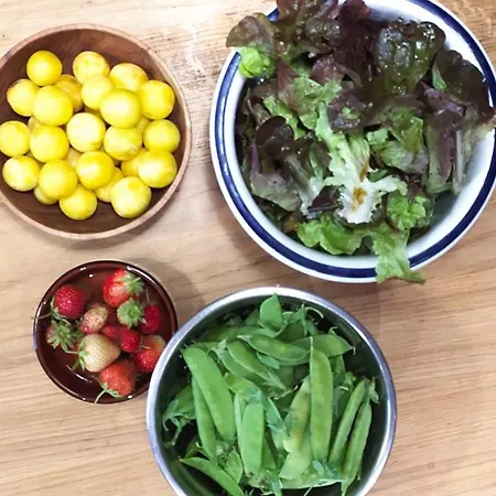 Ohikoa Saint-Etienne-d'Orthe