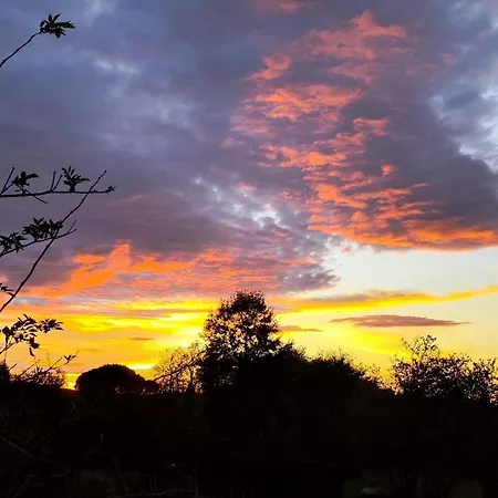 בית אירוח Ohikoa *