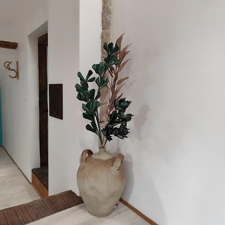 Ohikoa Homestay *