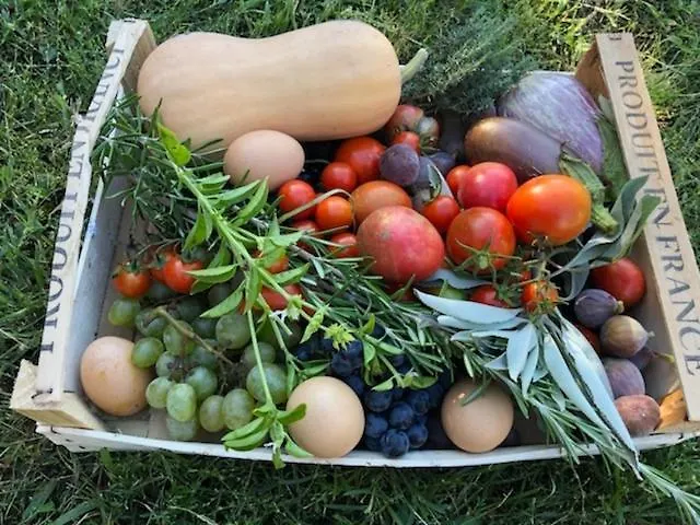 בית אירוח Ohikoa Saint-Etienne-d'Orthe