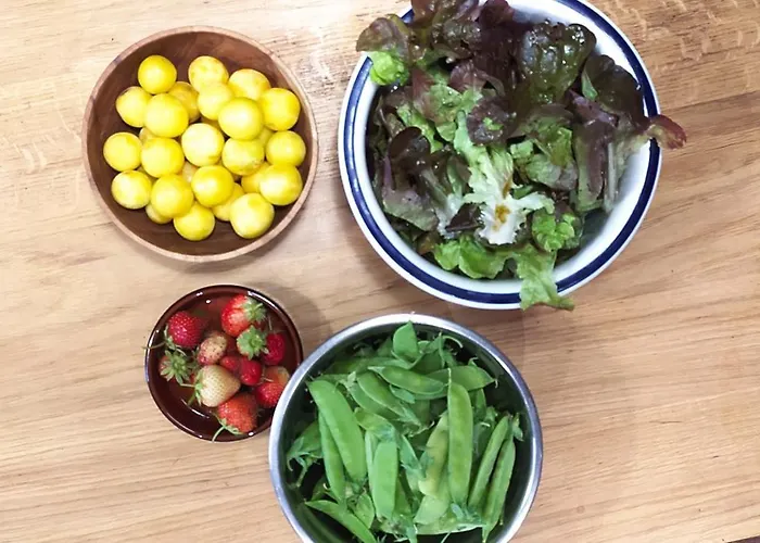 Ohikoa Saint-Etienne-d'Orthe