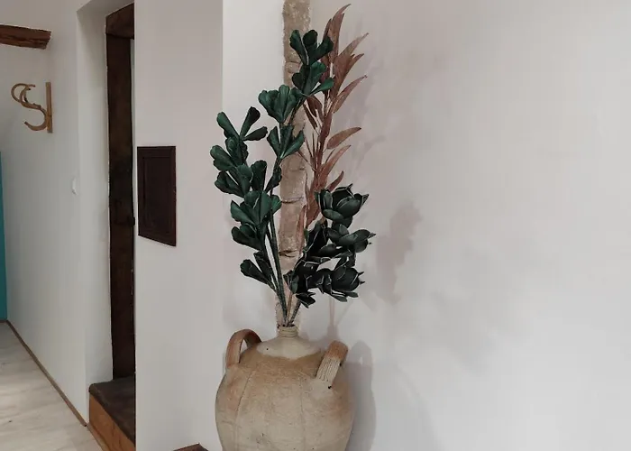 Ohikoa Privat bolig *