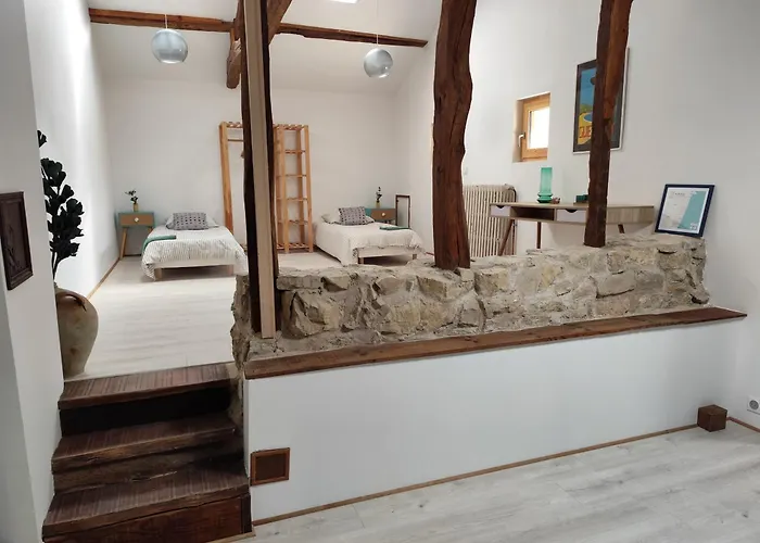 Ohikoa Saint-Etienne-d'Orthe